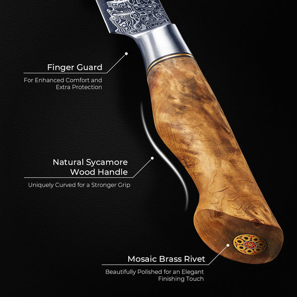 Dynasty Collection — Japanese VG10 Damascus Steel Knife Set with Sycamore Wood Handles