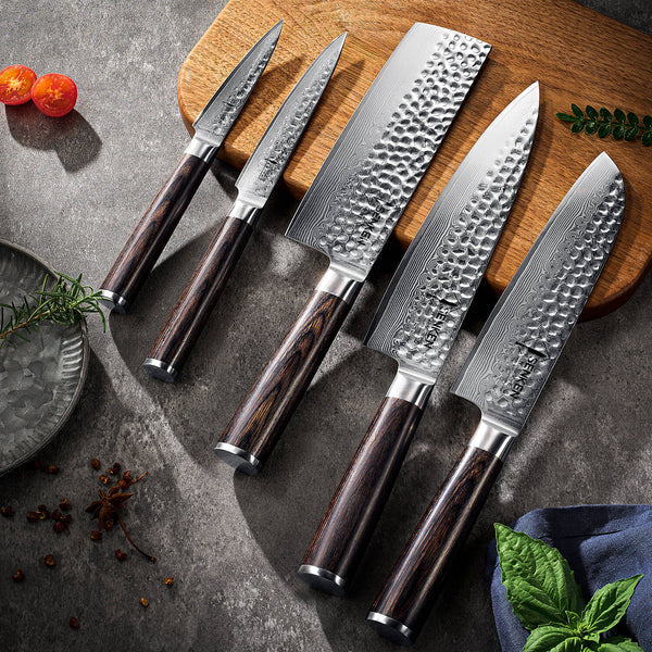 Ronin Collection — Japanese VG10 Hammered Damascus Steel Knife Set with Pakkawood Handles