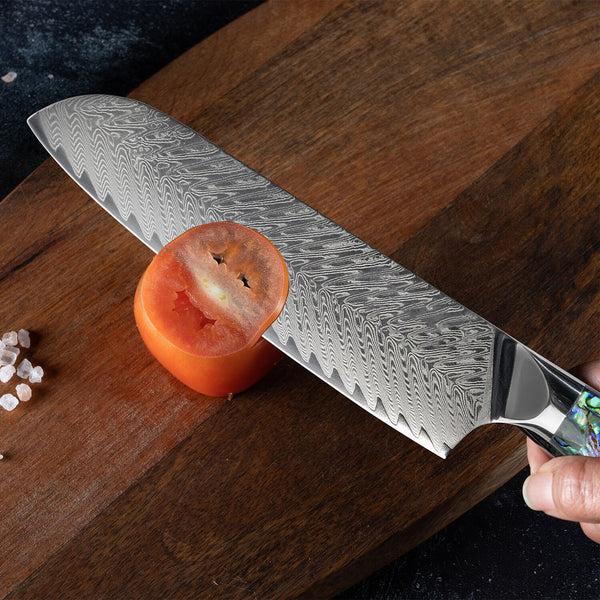 Umi Collection — Japanese VG10 Damascus Steel Knife Set with Abalone Shell Handles
